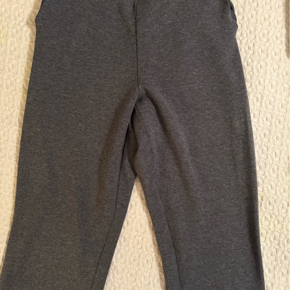 Ladies Alfred dunner gray pants size 12P